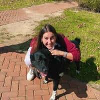 Sitter Profile Image: Dahlia K.