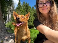 Photo de profil du pet sitter : Solenne O.