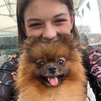 Sitter Profile Image: Amy P.