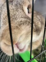 Sitter Profile Image: Kristin H.