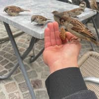 Photo de profil du pet sitter : Jeremiah J.