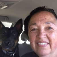 Sitter Profile Image: Monica W.