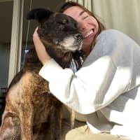 Sitter Profile Image: niamh m.