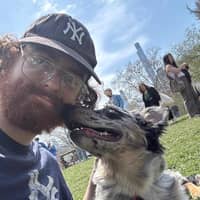 Sitter Profile Image: Birger H.