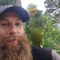 Sitter Profile Image: Sean M.