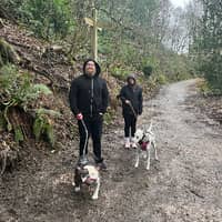 Sitter Profile Image: Nick M.