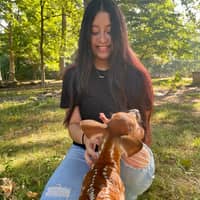 Sitter Profile Image: Estefani R.