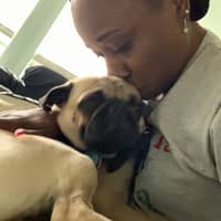 Sitter Profile Image: Sian W.