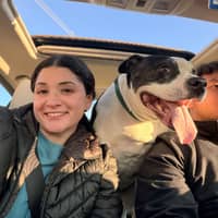 Sitter Profile Image: Rachel P.