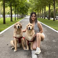 Sitter Profile Image: Bedrana K.