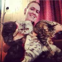 Sitter Profile Image: Julia C.