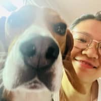 Sitterprofilbild: Jing L.