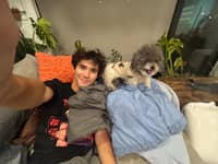 Sitter Profile Image: Seth N.