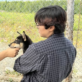 Image 0