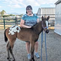 Sitter Profile Image: Jaislyn A.