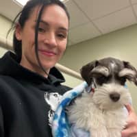 Sitter Profile Image: Vanessa D.