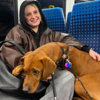 Sitter Profile Image: Froso T.