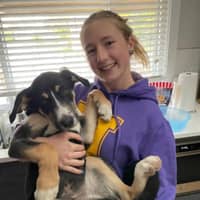 Sitter Profile Image: Quinn K.