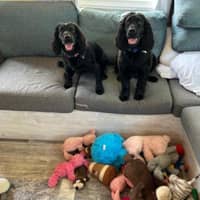 Sitter Profile Image: Rebecca W.