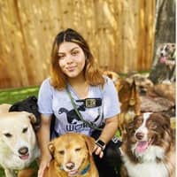 Sitter Profile Image: Samantha R.