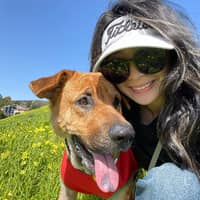 Sitter Profile Image: Ping C.