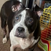 Sitter Profile Image: Christina M.