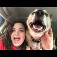 Sitter Profile Image: Lindsie G.