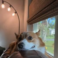 Sitter Profile Image: Miranda R.