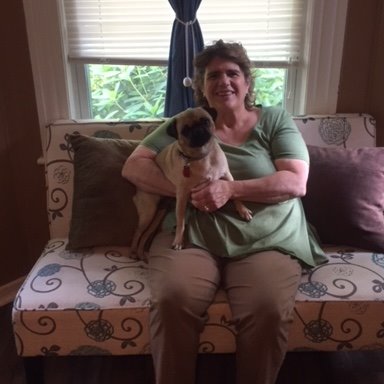 roaring brook doggy daycare