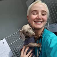 Sitter Profile Image: Jesse H.