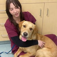 Sitter Profile Image: Britney P.