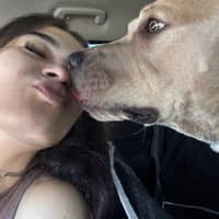 Sitter Profile Image: Haylie M.