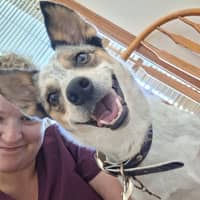 Sitter Profile Image: Korah T.