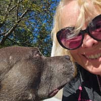 Sitter Profile Image: April C.