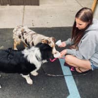 Sitter Profile Image: Amanda M.