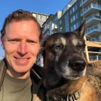 Passarens profilbild: Henrik L.