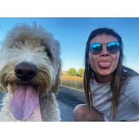 Sitter Profile Image: Alysha S.