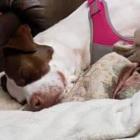 Sitter Profile Image: Jamie P.