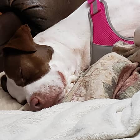 Sitter Profile Image: Jamie P.