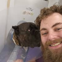 Sitter Profile Image: Mark W.