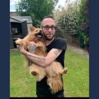 Sitter Profile Image: Jason W.