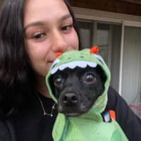 Sitter Profile Image: Vanya M.