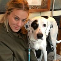 Sitter Profile Image: Lydia Li R.