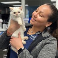 Sitter Profile Image: Davina S.