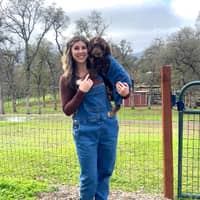 Sitter Profile Image: Sarah H.