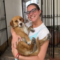 Sitter Profile Image: Allyson W.