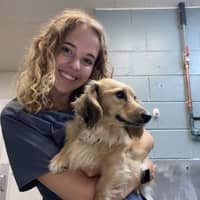 Sitter Profile Image: Chelsea H.