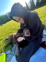 Immagine del profilo del sitter: Esranur K.