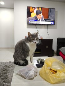 Image 0