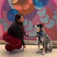 Sitter Profile Image: Dorcas P.